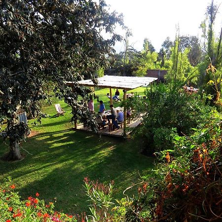 La Casa Del Tilo Panzió Hacienda Santa Rosa Kültér fotó