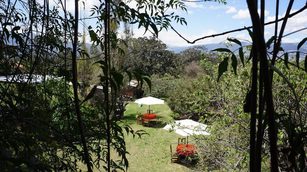 La Casa Del Tilo Panzió Hacienda Santa Rosa Kültér fotó